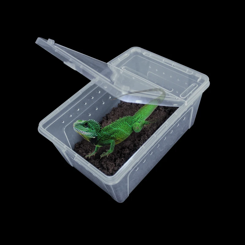 Transparent Plastic Box Insect Reptile Transport Breeding Live Food Feeding BoxRetailsale