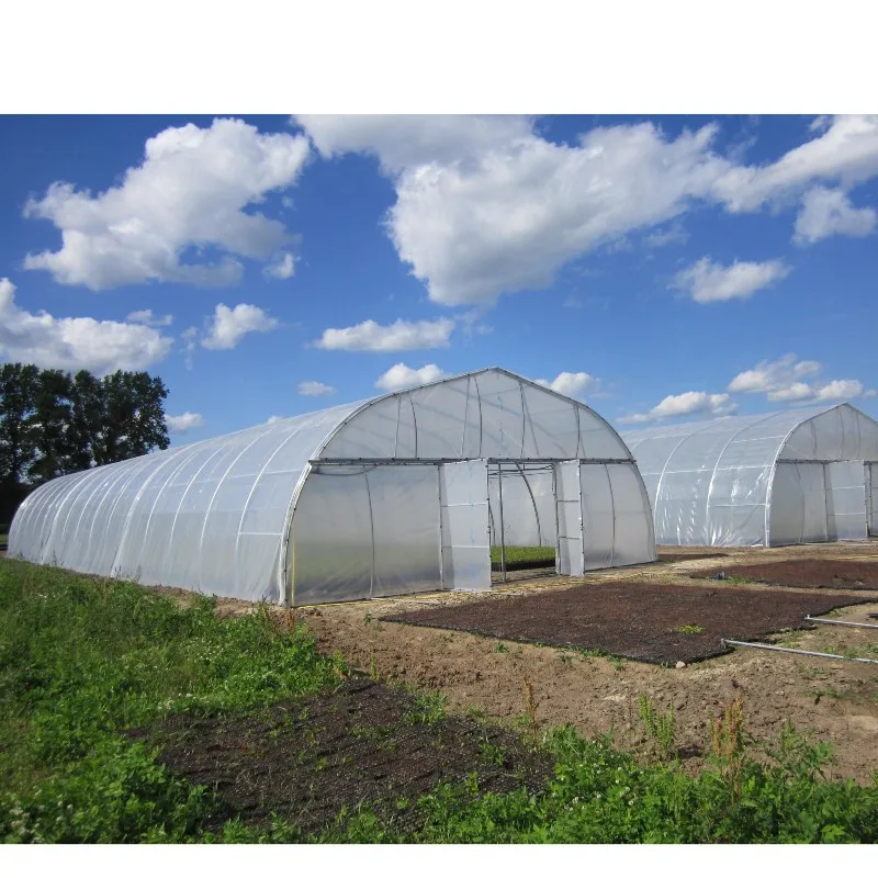 8M*30M-Cheap Vegetables Tunnel Greenhouse