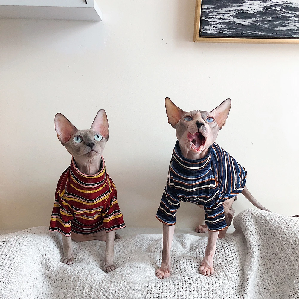 Cat Clothes for Sphinx Hairless Cat Clothes Striped Clothing Warm Knitted Shirt Pet Clothes Cat Supplier XS to XL