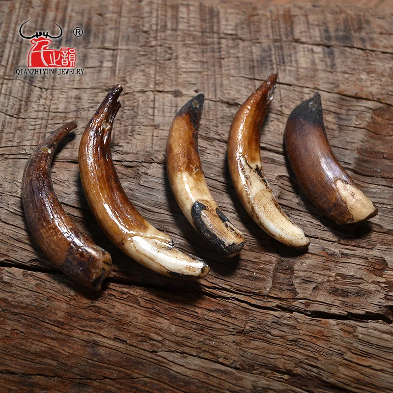 10pcs Bending Wild boar Teeth Natural Bone Beads Pendants For Diy Jewelry Making Primitive tribal ornaments Jewelry Accessories