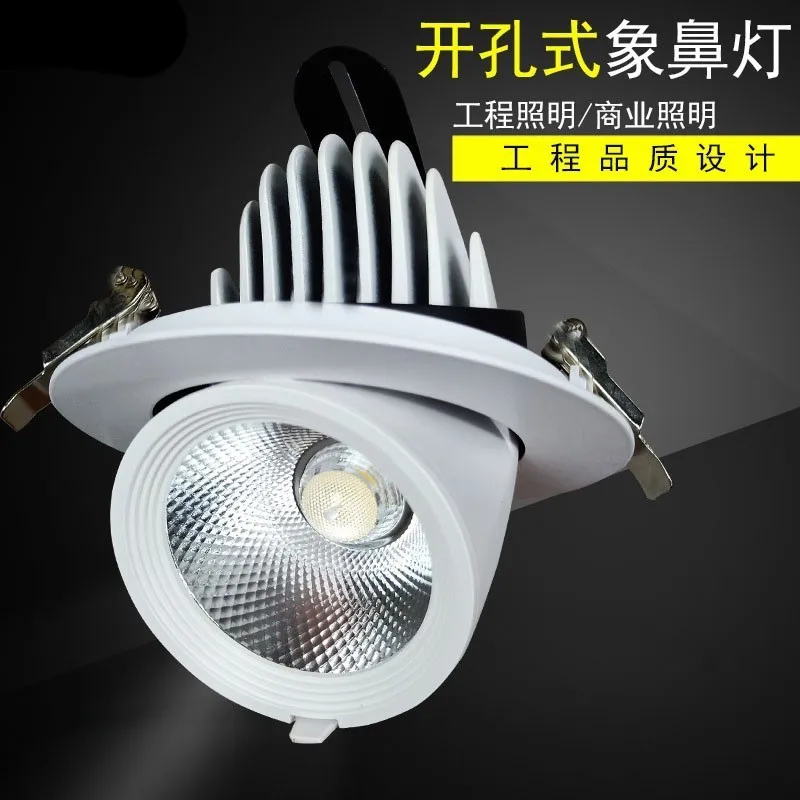 

3W 5W 7W 12W 15W 20W 30W 40W Led Trunk Lamp COB Downlight COB LED Gimbal Embedded Round COB Spotlight 360 Degree Rotatable