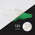 NW101