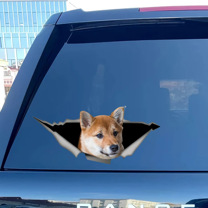 S50624 # Shiba Inu Dog Car Sticker Personality Vinyl Decal Waterproof Car Sticker on Motorcycle Laptop