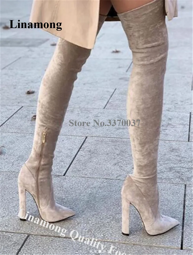 Linamong Sexy Pointed Toe Over Knee Chunky Heel Boots Beige Black Suede Leather Slim Style Long Thick High Heel Boots Dress Heel