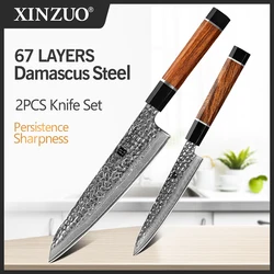 XINZUO 2PCS Chef Knife Set Damascus Steel Nakiri Utility Knife Meat Utility Knives Cutter North America Desert Ironwood Handle