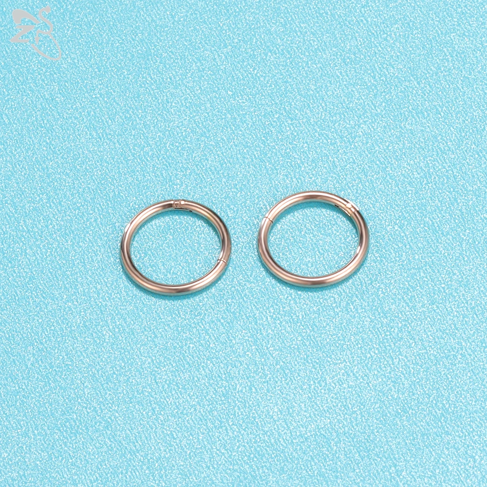 ZS 1 PC 20/18/16G Hoop 316L Edelstahl Nasenring Männer Runde Clicker Ohrknorpel Tragus Helix Piercing Schmuck 6/7/8/9/10mm – Detail 4