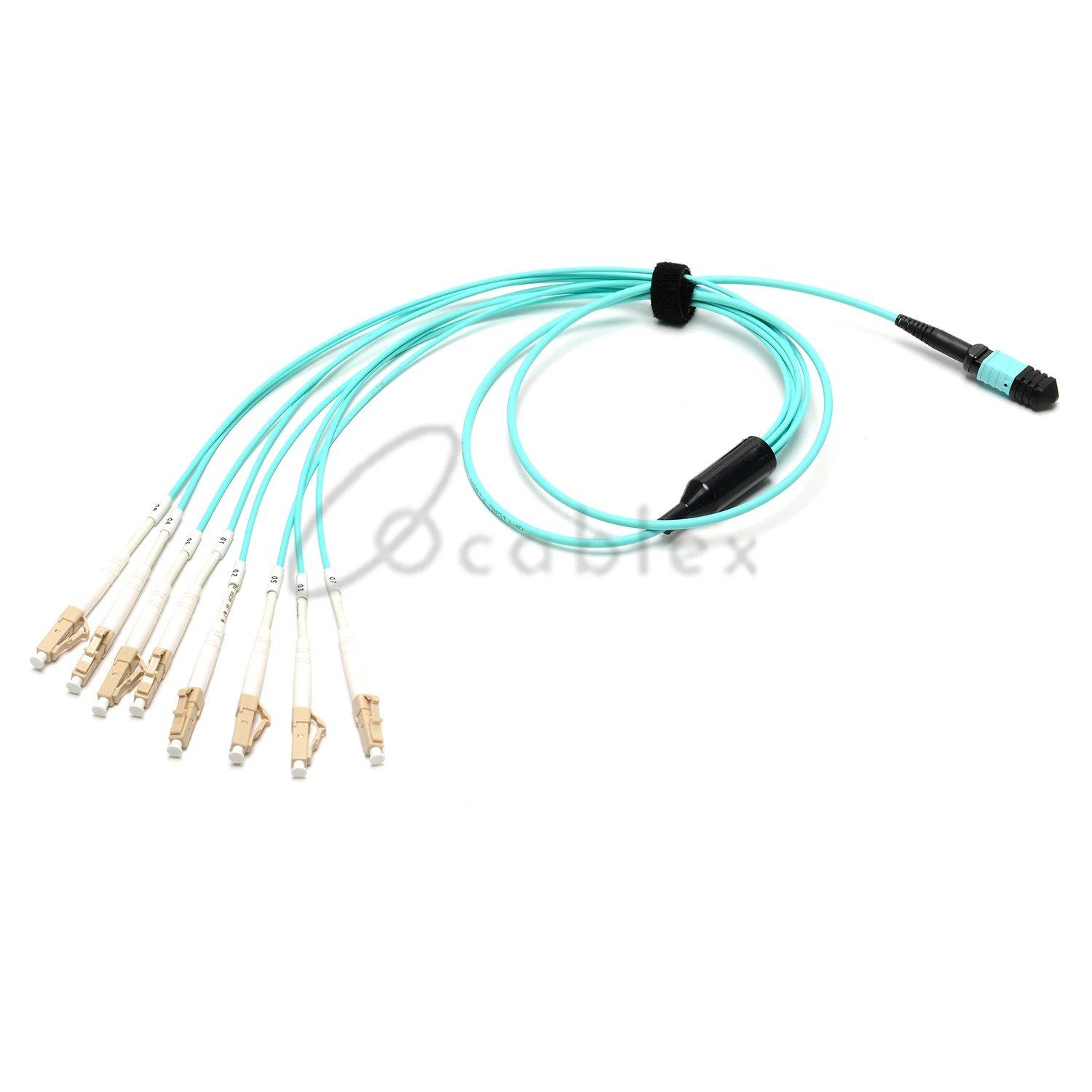 MPO(Female)-LC/UPC 8 Cores 3.0mm Fiber Optic Patch Cord 1M