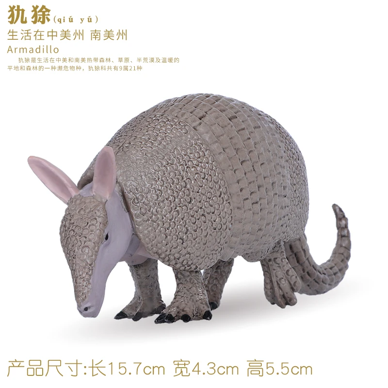 Chắc Chắn Armadillo Mô Hình Nhân Vật Hành Động Động Vật Hoang Dã Nhân Vật Hành Động Bộ Sưu Tập PVC Trẻ Nhận Thức Đồ Chơi