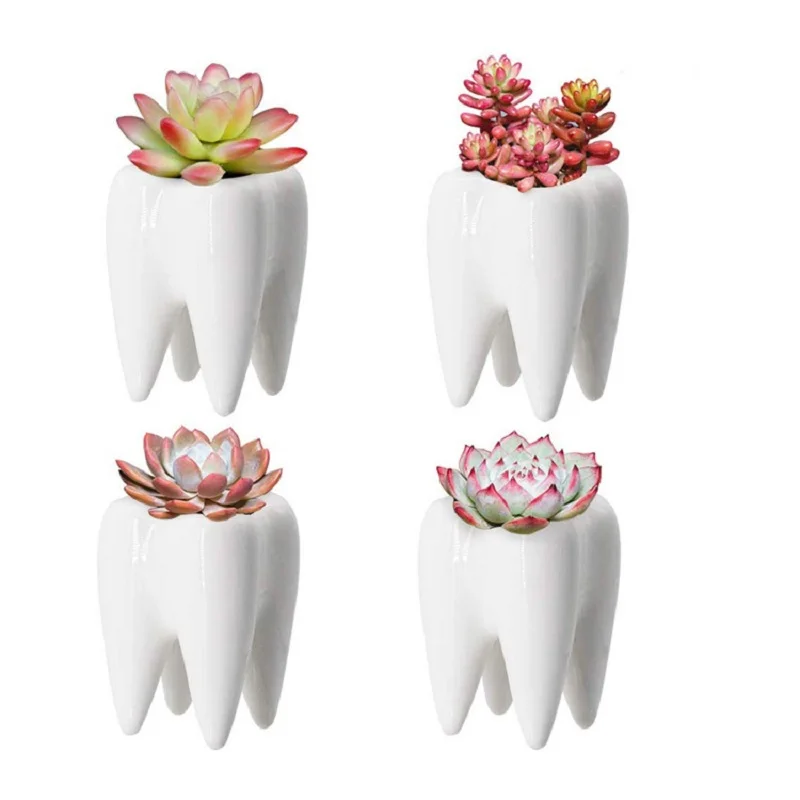 Dental Tooth Shape Flower Vase Home Decoration Pot Creative Garden Planter Pot Ceramic Pen Holder Cute   Dentistry Dentist Gifts