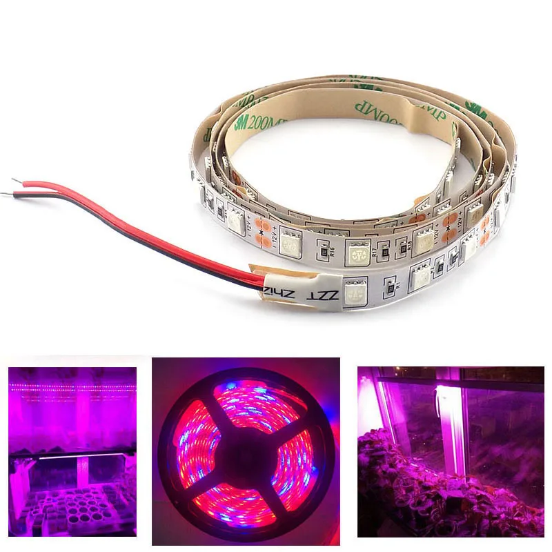 

1M 2M 3M LED Plant Grow strip Light 5050 chip lamp waterproof DC 12V for vegetable flower Hydro indoor Greenhouse growbox tentR1