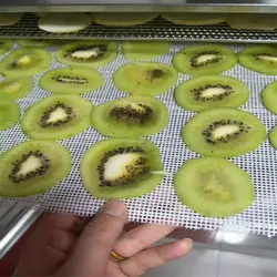 Silicone Cushion Mesh Pad Non-stick Dumplings Baking Mat Steamer Mesh Baking Pastry Steam Cloth Home Kitchen Tools