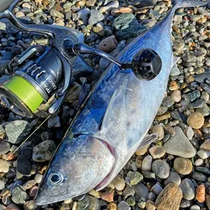 Gomexus crack tay cầm 35mm cho Shimano Stradic Fi Vanquer 1000 - 3000 Daiwa Direito Direct Bg Battle Broca 12 Dòng đánh cá chính Shimano Technium - №2