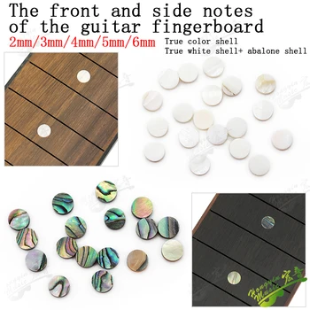 10 stks/set True Color Shell Abalone Shell Sound Point Tone Point Gitaar Accessoires DIY Materiaal Diameter 2mm/3mm/4mm/5mm/6mm