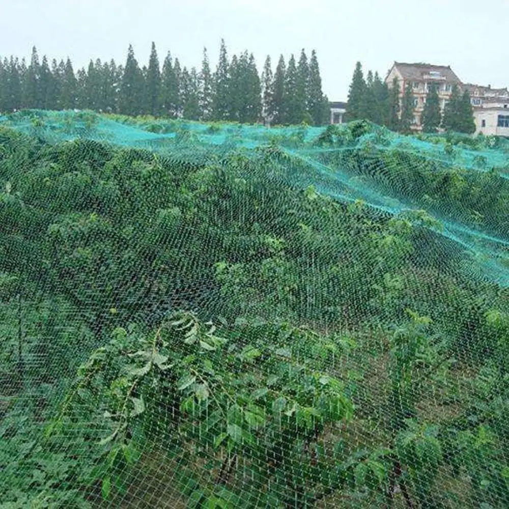 Anti Bird Netting Garden Orchard Fruits Crop Vegetable Flower Protection Mesh Net Nylon Stretch Fencing Pond Pool Protection Net - Image 6