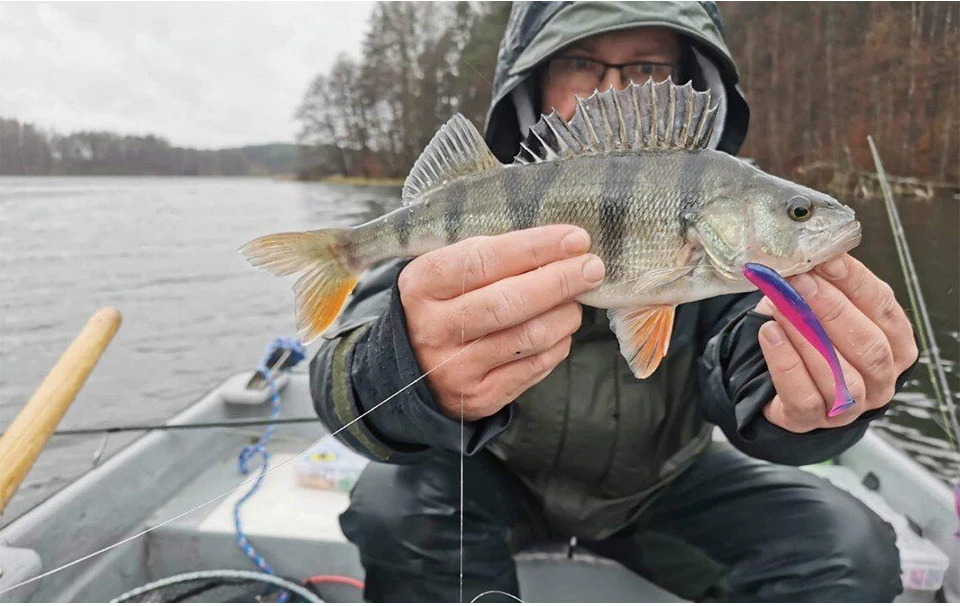 TSURINOYA 65mm 75mm T Schwanz Wrom Angelköder Weicher Köder Künstliche Köder Tackle Jerkbaits Hecht Bass – Detail 16