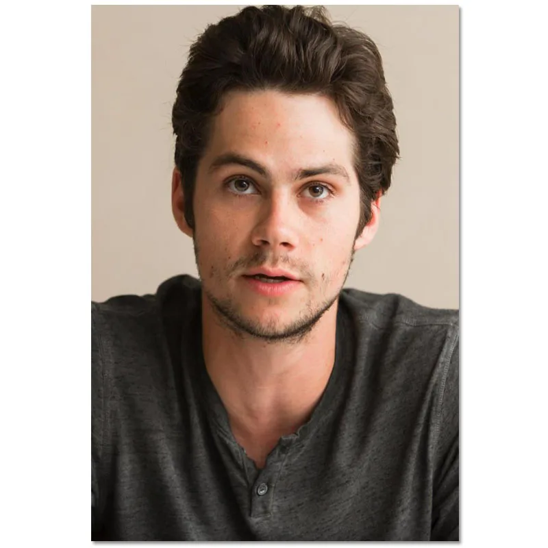 Poster Custom Dylan O’Brien Canvas Poster Art Home Decoration Cloth Fabric Wall Poster Print Silk Fabric 30X45cm40X60cm