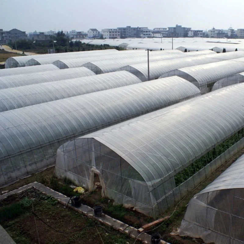 8M*30M-Green House Plastic Tube Steel Frame Greenhouse Structure