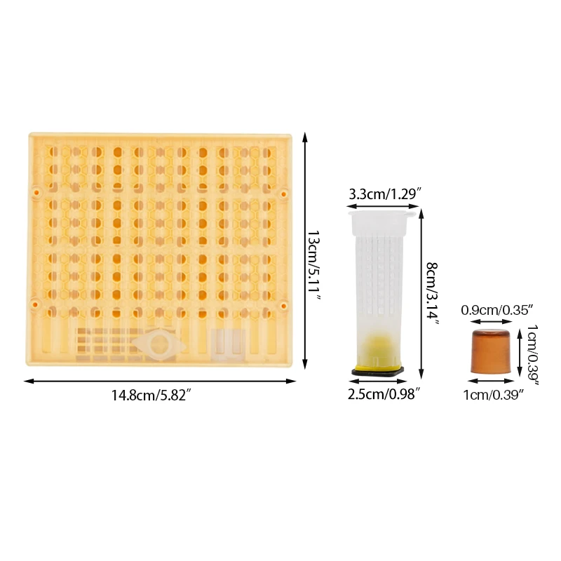 1Set Complete Bee Queen Rearing System Kits King Cultivating Box Plastic Bees Cells Cups Cupkit Cages Beekeeping Tools