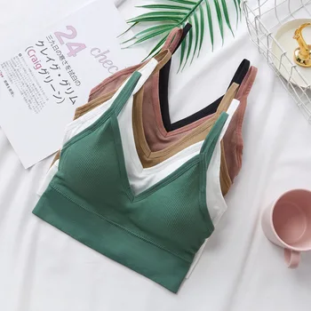 Kadınlar Seksi Kırpma Üstleri Sutyen Tüp Üst Kadın Streetwear Kolsuz Dikişsiz Spor Sutyeni Kırpma Camiş Üst Tee Bandeau Üst Temel Tank