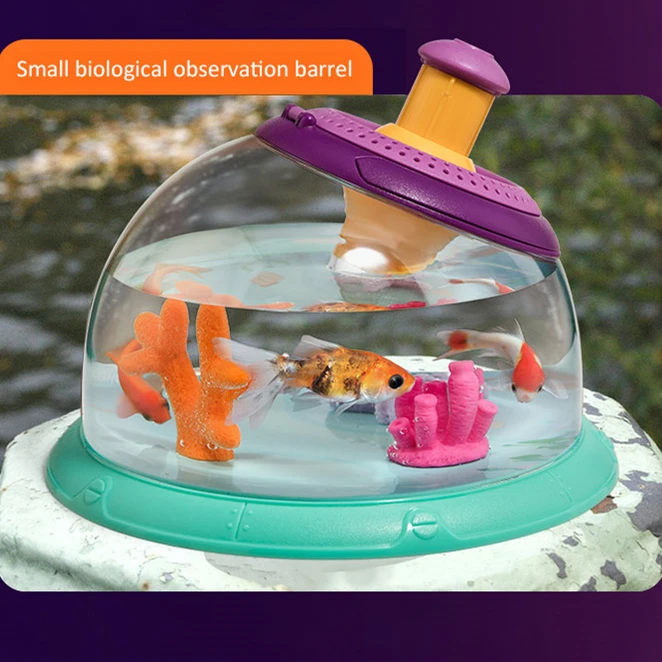 Observation Tank With 5x Magnifier For Watching Killi  Fish Plants Insect Pets Living Sicence Educational Water Toys Kids Boys