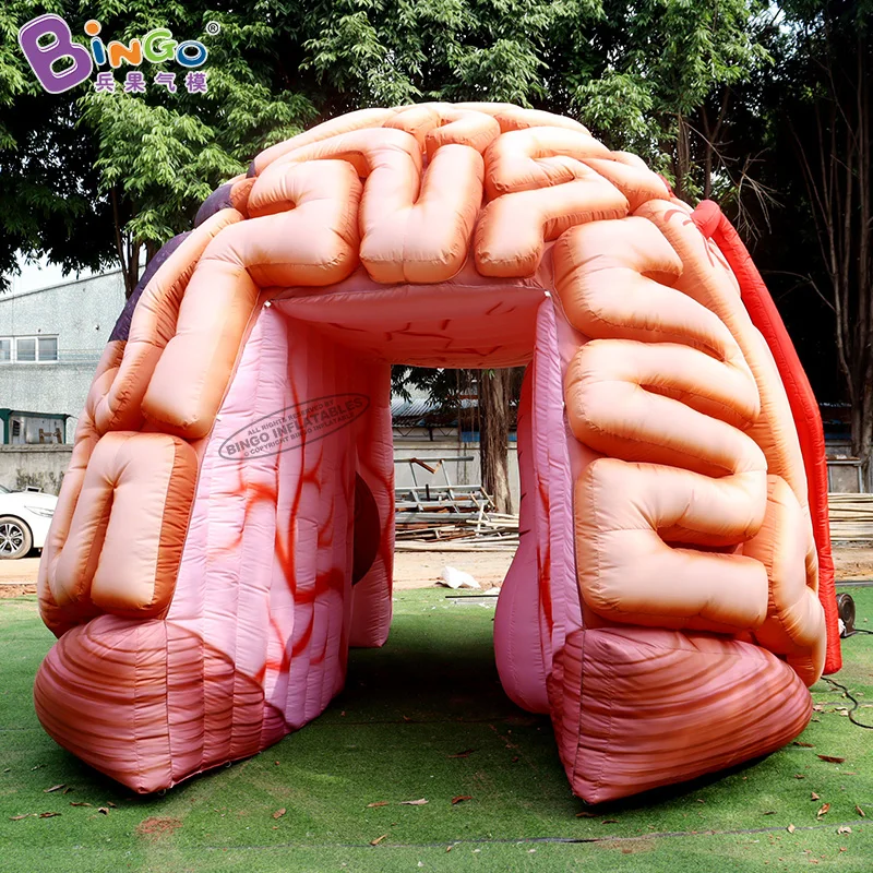 Customized 5.1x4.5x3.6 Meters Inflatable Brain Tunnel Tent For Education / Blow Up Inflated Brain Balloon - BG-H0040