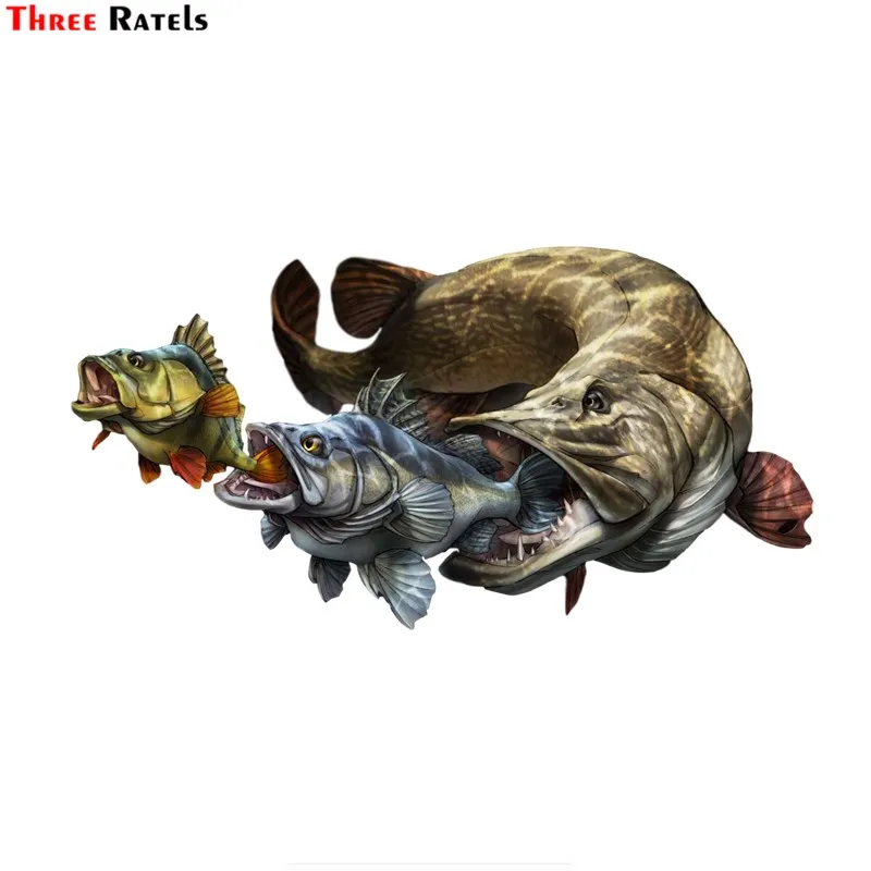 

Three Ratels FC952 asome fish art car decoration sticker road bike decal