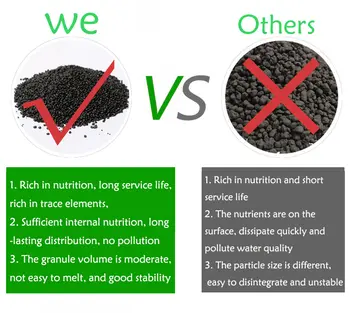 12 最佳銷售 水族箱種子 - №10