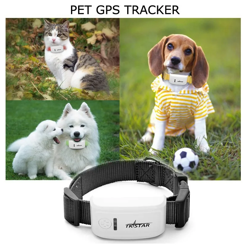 MINITK909 GSM/GPRS Network AGPS GPS Dual Positioning Vehicle Tracking System LED TRACKER TK-STAR PET GPS TRACKER No Original Box