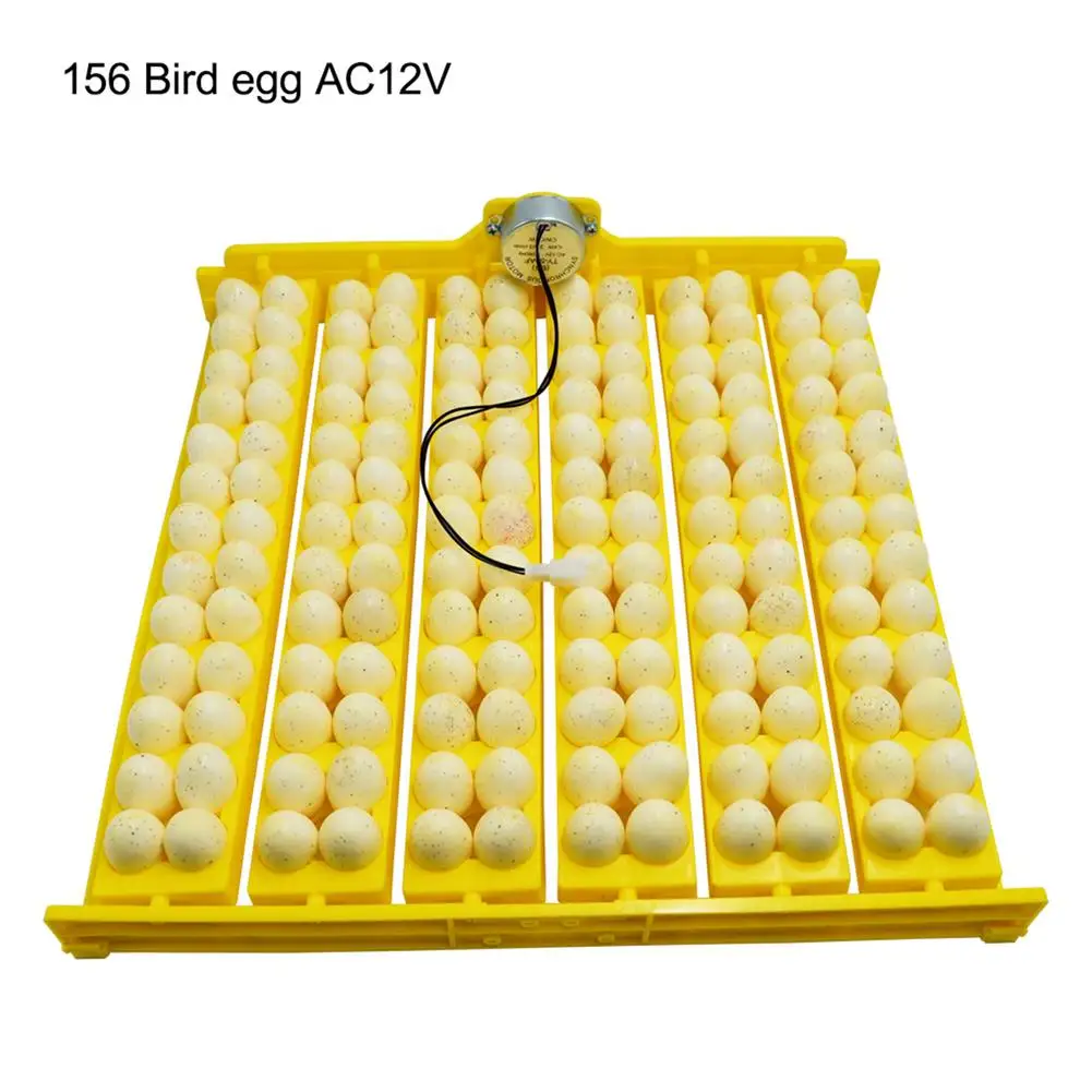 110V/220V/12V Egg Incubator Automatic Quail Egg Incubator With Rotating Motor 36/154 Bird Egg Tray Chicken Egg Turner