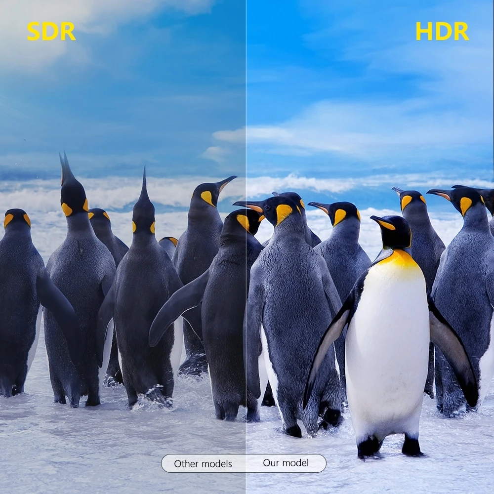 X96Q ماكس مربع التلفزيون الذكية أندرويد 10 صندوق التلفزيون Allwinner H616 4GB 64GB 2.4G 5G المزدوج واي فاي BT5.0 4K HDR ثلاثية الأبعاد مشغل الوسائط تعيين صندوق