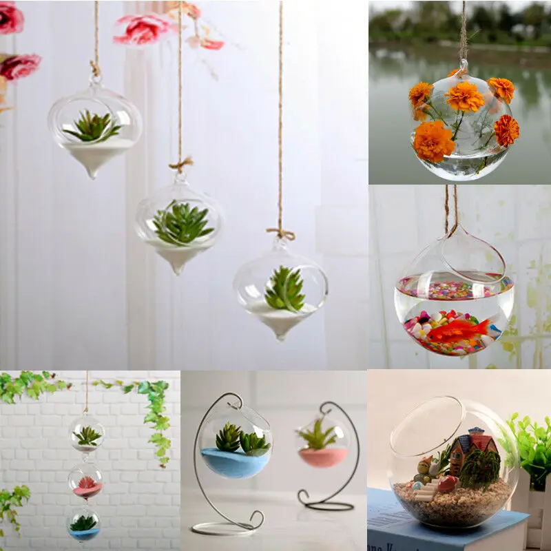 Terrarium Ball Globe Shape Clear Hanging Glass Vase Flower Plants Container Ornament Micro Landscape DIY Wedding Home Decor