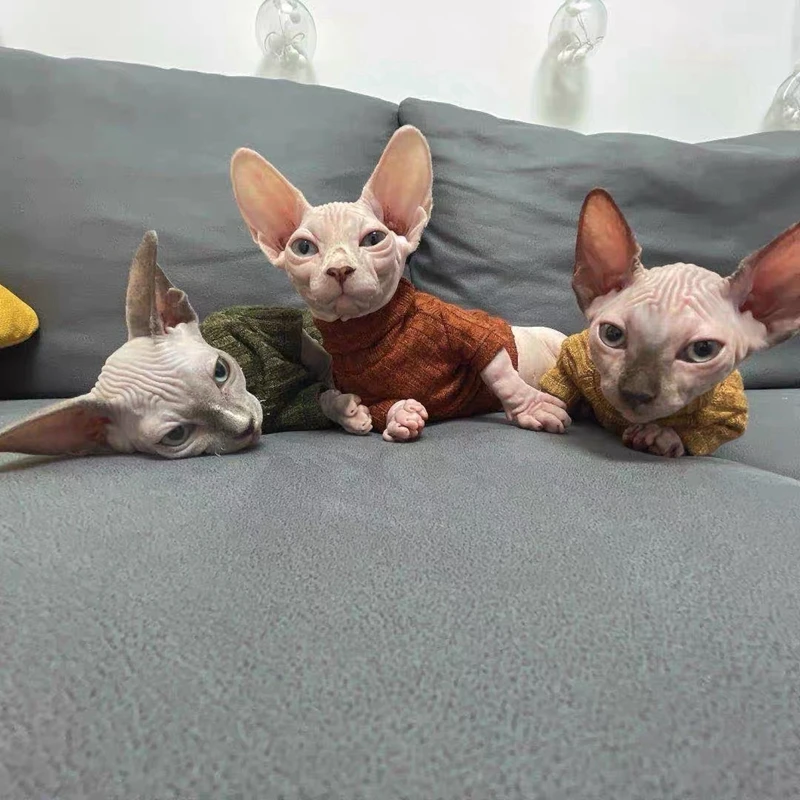 winter Warm Sphinx Hairless Cat turtleneck sweater base coat Solid color stretch soft Sphinx Devon cat clothes