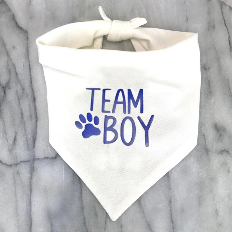 Team Boy Team Girl Hundebandana, Geschlechtsenthüllungsparty, Schwangerschaftsankündigung, Babyparty, rosa oder blaue Dekoration, Geschenk, Foto-Requisiten – Detail 3