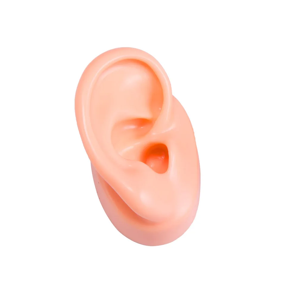 Modelo de oreja de silicona para audífonos, modelo de oreja Artificial, exhibición de auriculares IEM, exhibición y enseñanza