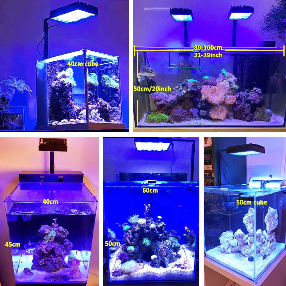 Imagem -06 - Popbloom-led Aquarium Light Dimmable Marine Aquarium Lamp para Coral Reefgrow Fish Tanknano Marine Sea Tank Água Salgada 4060cm