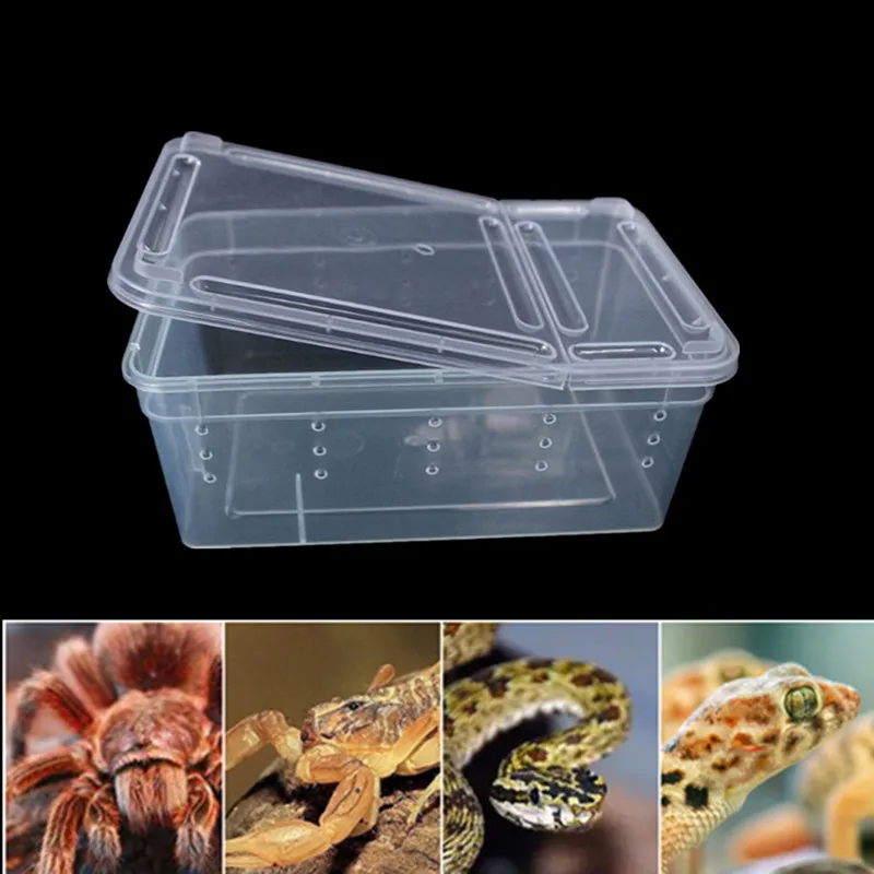 Large Reptiles Box with Feeding Bowl Transparent Plastic Insect Pet Terrarium Transport Breeding Food Feed Box Pet Supplies