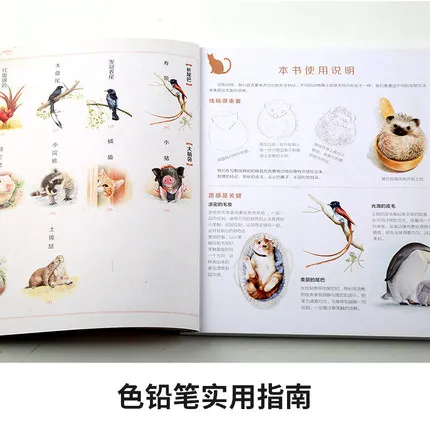 Damask Animals Pencil Drawing Book, Art Painting Tutorial, Fofo, Chinês