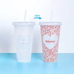 Straw Cup with Lid, Coffee Cup, Reusable Cup, Plastic Tumbler, Matte Finish, 700ml, 710ml, 22oz, 24oz