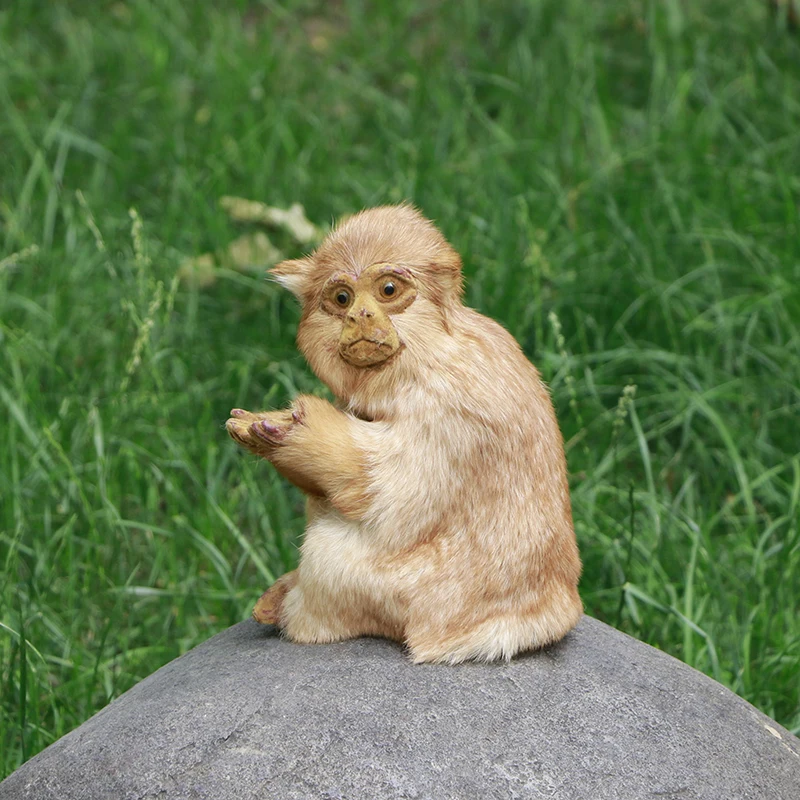 Realista sentado macaco simulação animais modelos de pelúcia crianças brinquedo casa loja decoração foto adereços presentes criativos