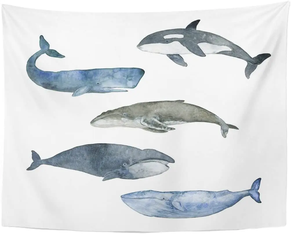 Painting Watercolor Whale The White Sperm Grampus Gray Polar Blue Fish Hand Tapestry Home Decor Wall Hanging for Living Room Bed