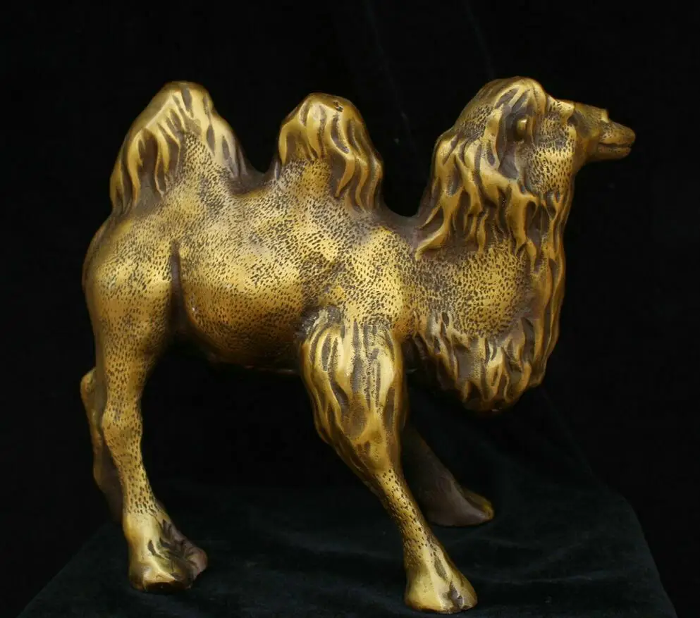 Free shipping China Chinese Folk Fengshui Bronze Brass Animal Camel Statue Sculpture 03