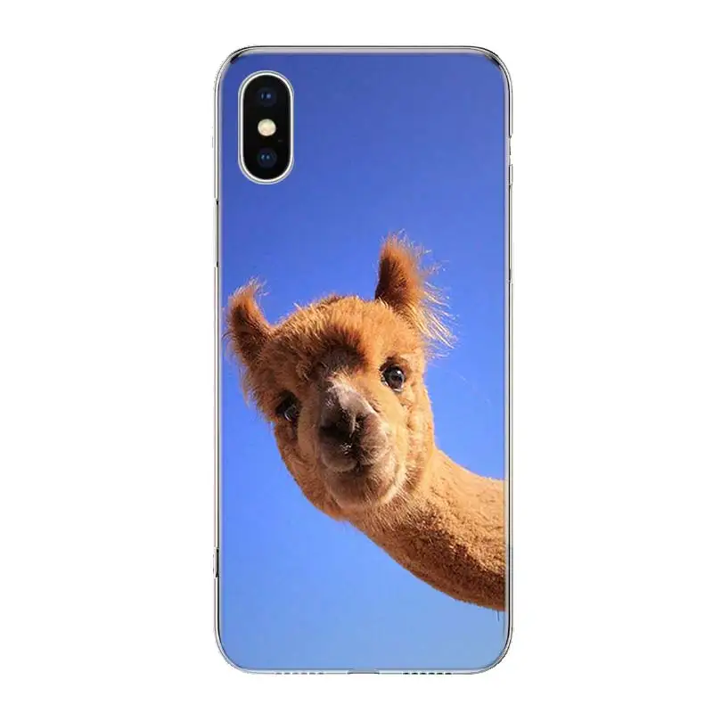 Llama Alpacas donkey Animal Phone Case For iPhone 15 + 14 11 12 13 Pro Max Xr X Xs Mini 8 7 Plus SE Soft Fundas Coque Shell