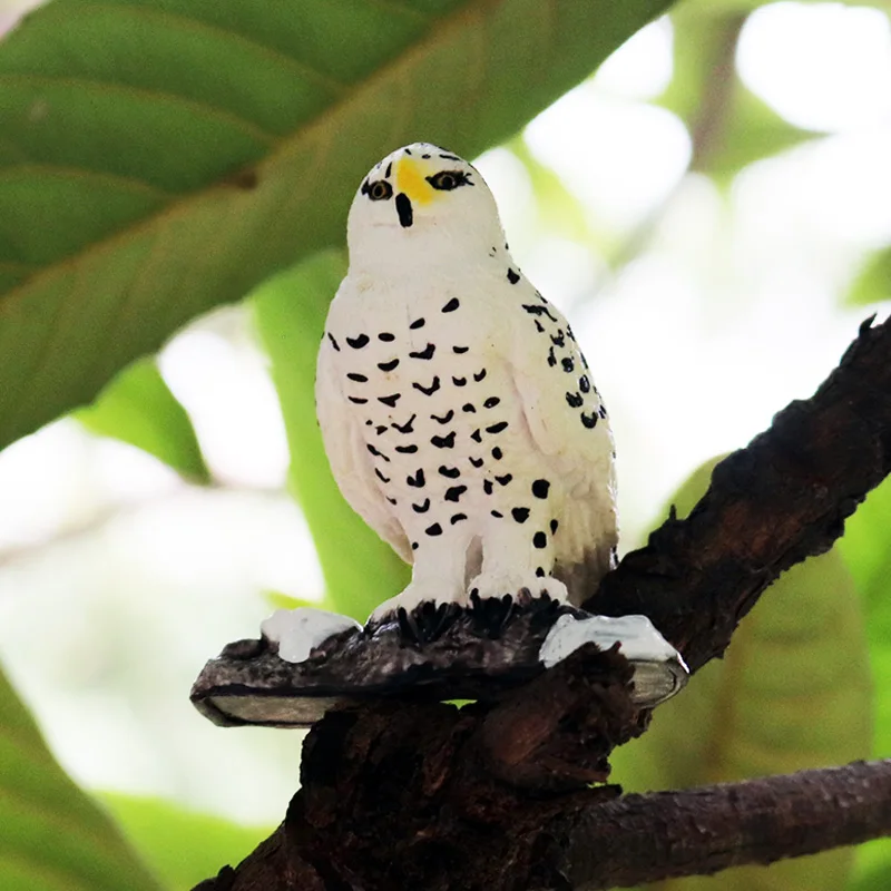 Oenux Lifelike Snowy Owl Bird Figurines Model PVC Bird Animals Action Figures Collection Toys For Kids Birthday Gift
