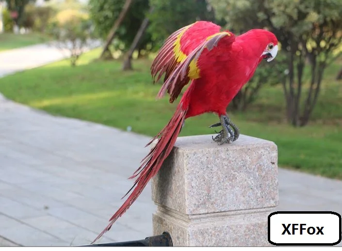 big simulation red parrot model foam&furs wings parrot bird gift about 60x80cm xf2527