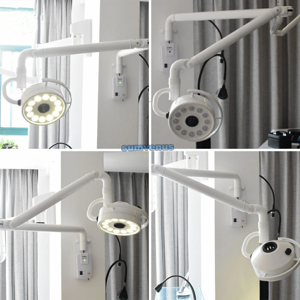 Esame chirurgico medico LED ad alta luminosità 12 fori appeso a parete lampada a luce fredda senza ombra ENT Pet tatuaggi veterinari