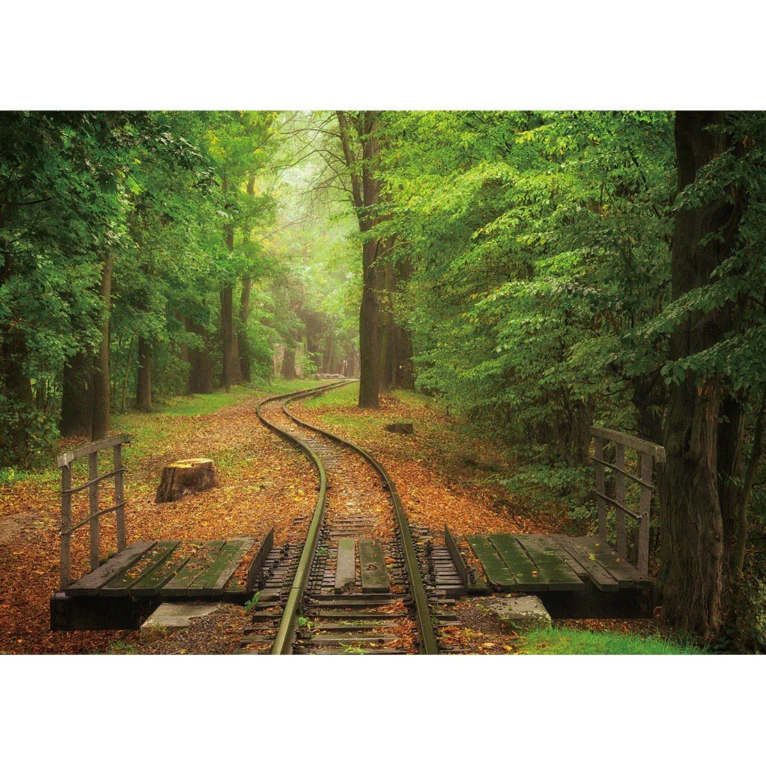 Nature Railway in Autumn Forest Photography Backdrop Custom Backgrounds Photo Studio for Children Baby Portrait Dolls Photophone