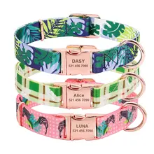 Custom nylon dog collar with engraved tag #3
