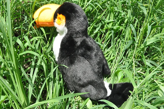 Niedlicher Tukan-Vogel-Plüschtier, ca. 26 cm, Simulation, Tukan, weiche Puppe, Kinderspielzeugauto, Dekoration, Geburtstagsgeschenk, H0695