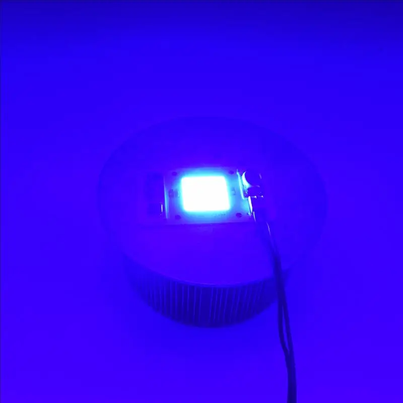 High Quality Driverless AC110V / 220V Blue color 450-460nm 50W Free Driver High Power LED light Beads Free Shipping