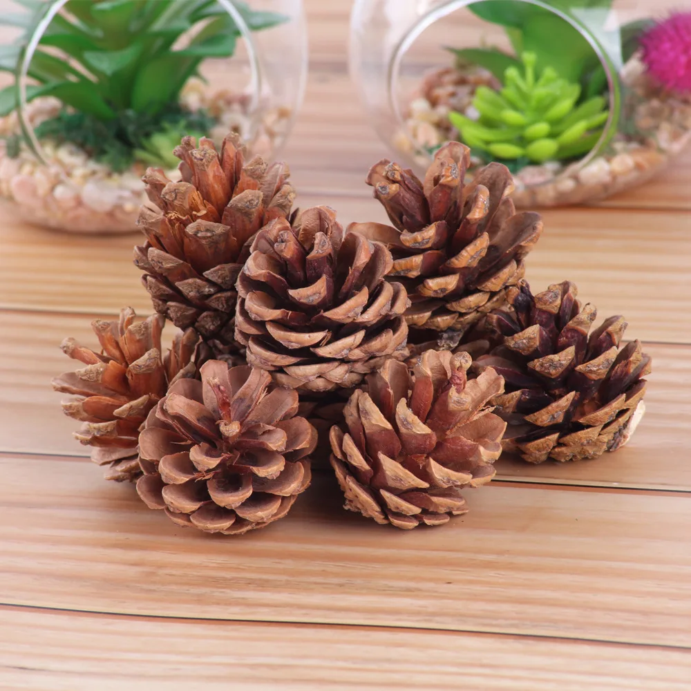 6Pcs 4-6CM Christmas Tree Decor Pine Cone Pendant Christmas Decoration Natural Pine Cone Dyed White Small Pine Cone Ornament